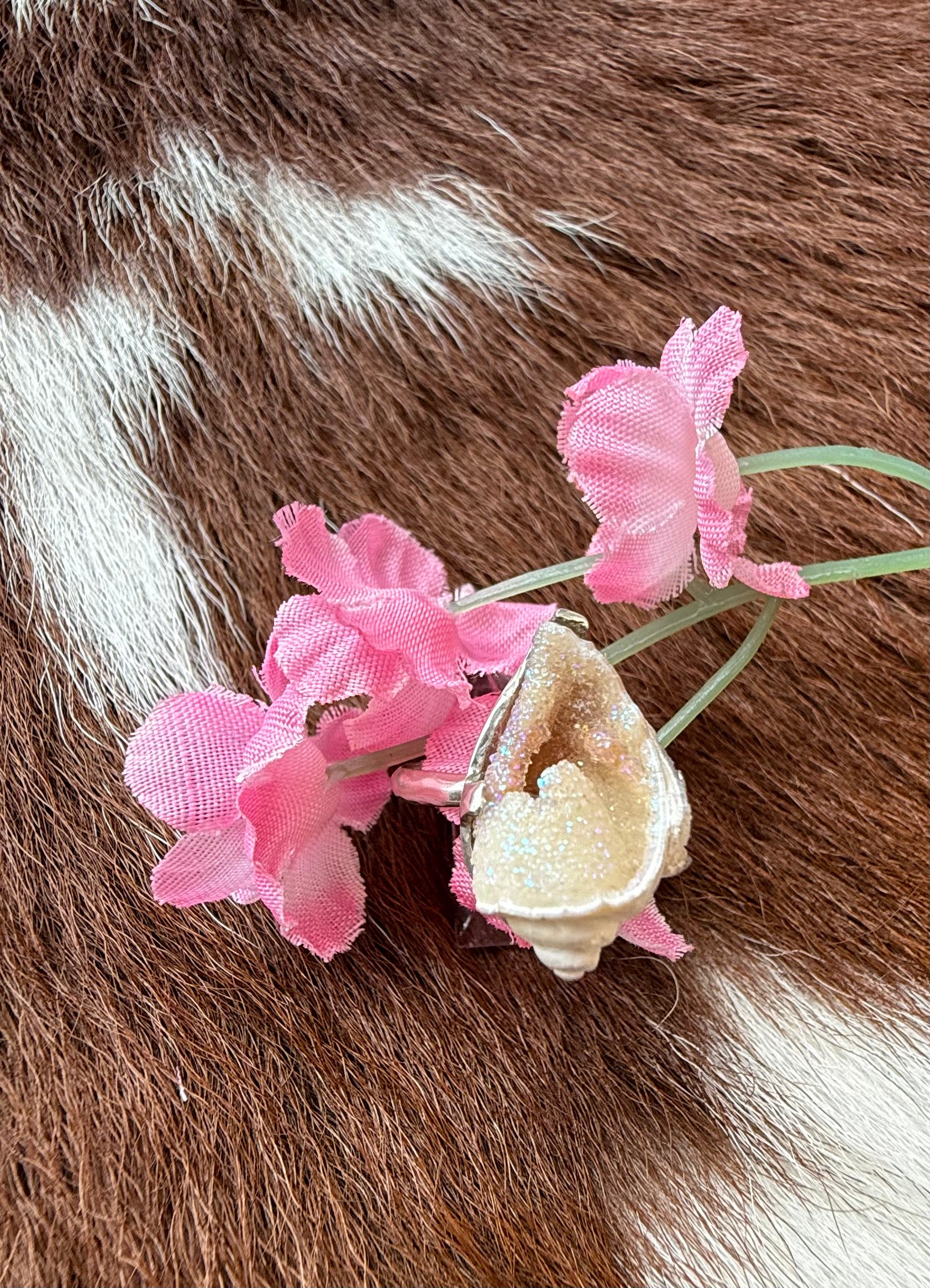Sterling Silver Fossilized Druzy Shell Ring