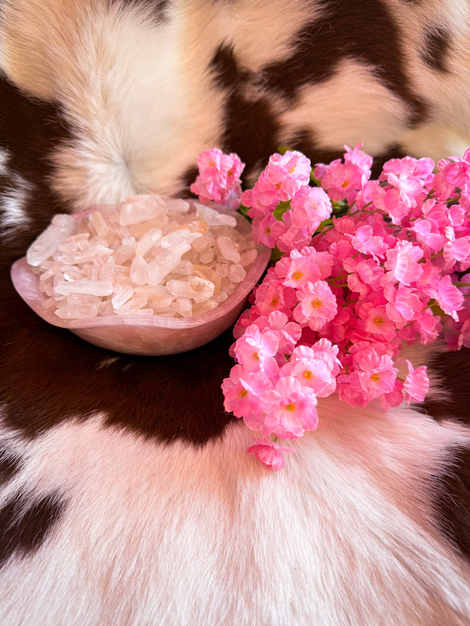 A delicate arrangement featuring a pink rose quartz bowl filled with clear quartz crystals, set on a cowhide surface with a mix of brown and white fur. Beside the bowl, a cluster of vibrant pink flowers adds a soft, feminine touch. The combination of natural textures and colors creates an earthy, elegant, and bohemian aesthetic.