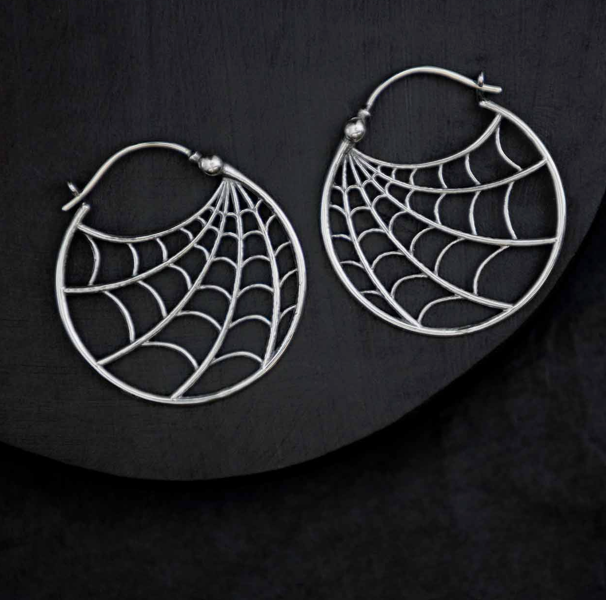 Sterling Silver Spider Web Earring
