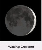 Moonglow Necklace